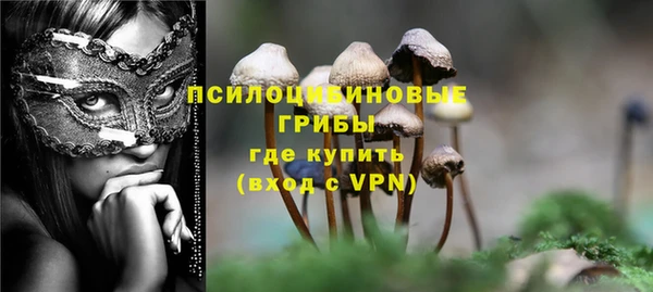 Альфа ПВП Магадан