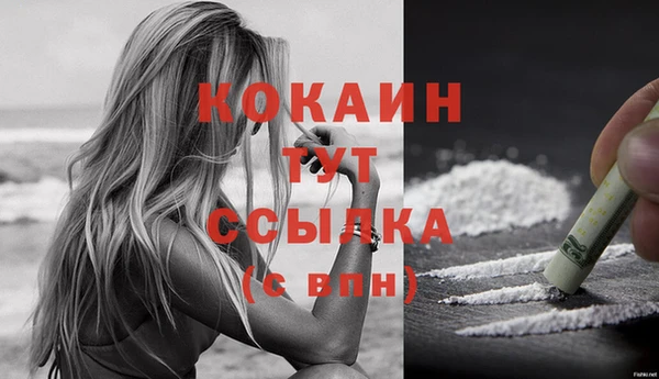 ECSTASY Магас