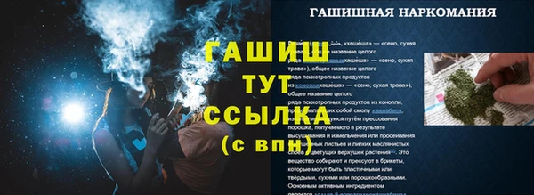 сатива Чита